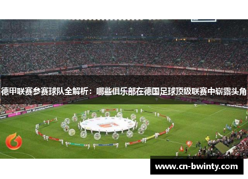 德甲联赛参赛球队全解析：哪些俱乐部在德国足球顶级联赛中崭露头角