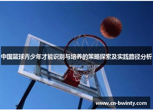 中国篮球青少年才能识别与培养的策略探索及实践路径分析
