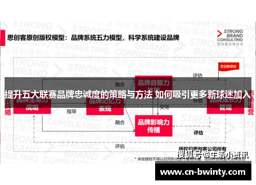 提升五大联赛品牌忠诚度的策略与方法 如何吸引更多新球迷加入