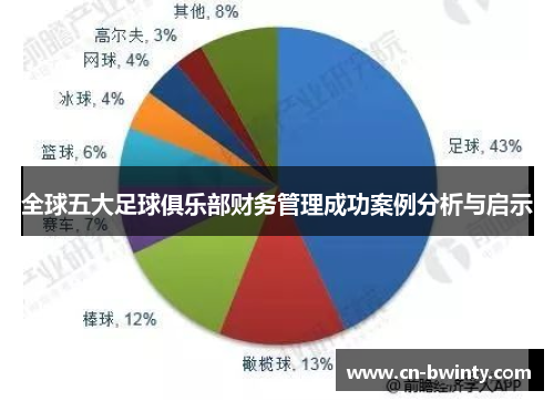 全球五大足球俱乐部财务管理成功案例分析与启示