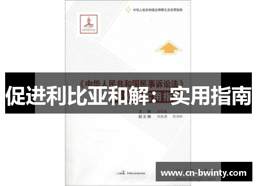 促进利比亚和解：实用指南