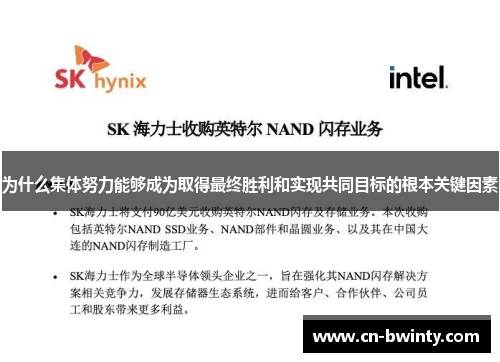为什么集体努力能够成为取得最终胜利和实现共同目标的根本关键因素